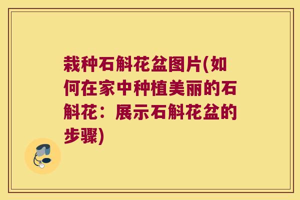 栽种石斛花盆图片(如何在家中种植美丽的石斛花：展示石斛花盆的步骤)