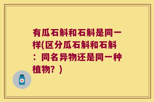 有瓜石斛和石斛是同一样(区分瓜石斛和石斛:同名异物还是同一种植物?) 有瓜石斛和石斛是同一样(区分瓜石斛和石斛:同名异物还是同一种植物?)