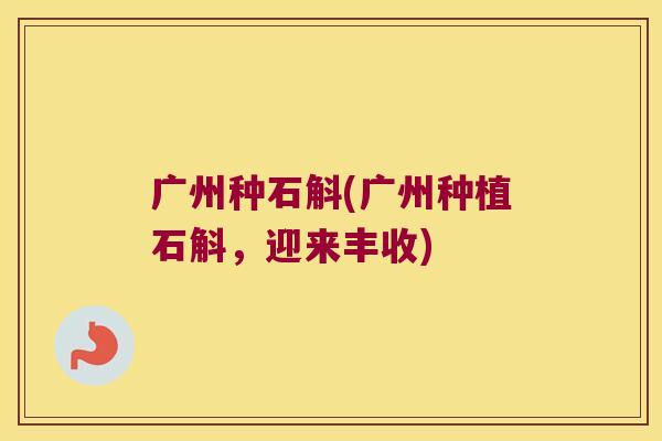 广州种石斛(广州种植石斛，迎来丰收)
