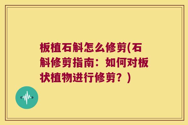 板植石斛怎么修剪(石斛修剪指南:如何对板状植物进行修剪?) 板植石斛怎么修剪(石斛修剪指南:如何对板状植物进行修剪?)