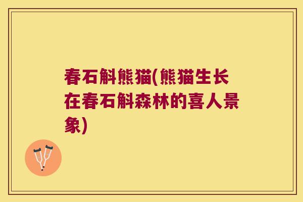 春石斛熊猫(熊猫生长在春石斛森林的喜人景象) 春石斛熊猫(熊猫生长在春石斛森林的喜人景象)