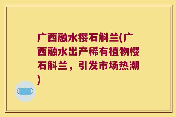广西融水樱石斛兰(广西融水出产稀有植物樱石斛兰，引发市场热潮)