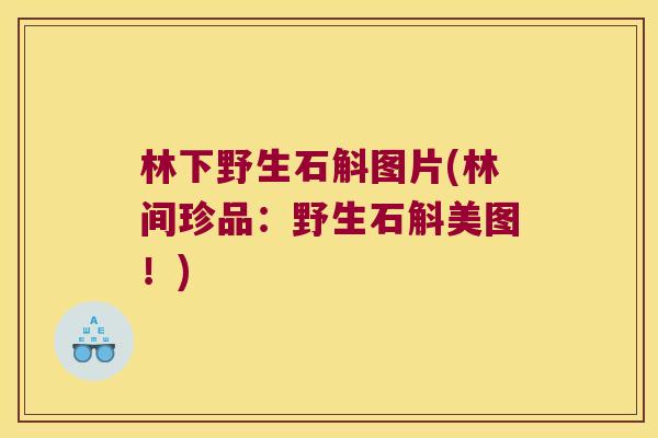 林下野生石斛图片(林间珍品：野生石斛美图！)