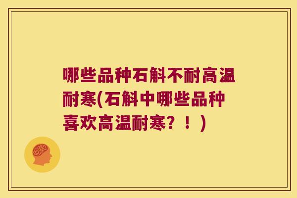 哪些品种石斛不耐高温耐寒(石斛中哪些品种喜欢高温耐寒?!) 哪些品种石斛不耐高温耐寒(石斛中哪些品种喜欢高温耐寒?!)