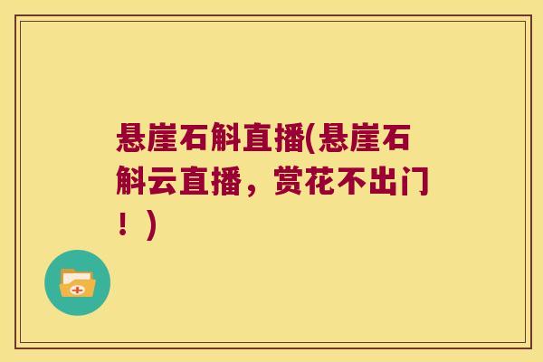 悬崖石斛直播(悬崖石斛云直播，赏花不出门！)