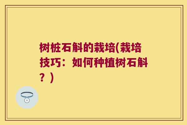 树桩石斛的栽培(栽培技巧：如何种植树石斛？)