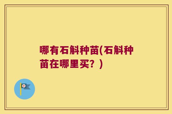 哪有石斛种苗(石斛种苗在哪里买？)