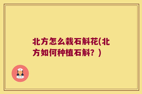 北方怎么栽石斛花(北方如何种植石斛?) 北方怎么栽石斛花(北方如何种植石斛?)