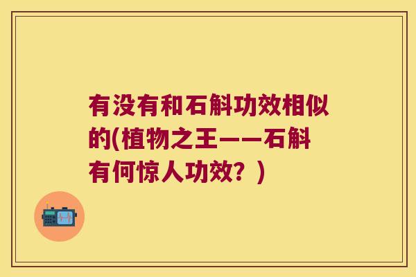 有没有和石斛功效相似的(植物之王——石斛有何惊人功效?) 有没有和石斛功效相似的(植物之王——石斛有何惊人功效?)