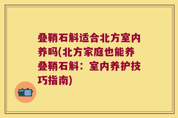 叠鞘石斛适合北方室内养吗(北方家庭也能养叠鞘石斛：室内养护技巧指南)