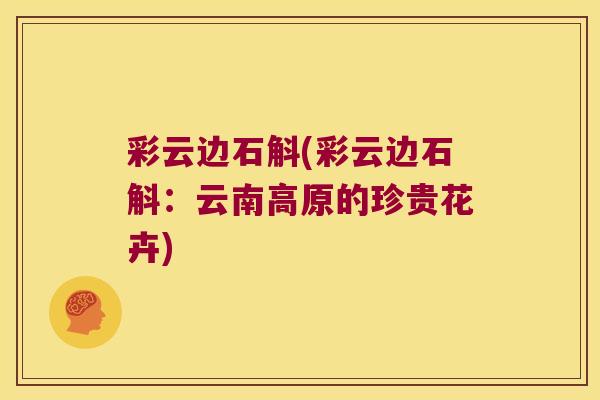 彩云边石斛(彩云边石斛:云南高原的珍贵花卉) 彩云边石斛(彩云边石斛:云南高原的珍贵花卉)