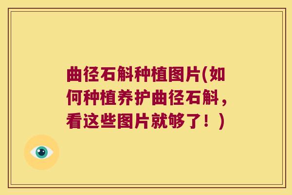 曲径石斛种植图片(如何种植养护曲径石斛，看这些图片就够了！)