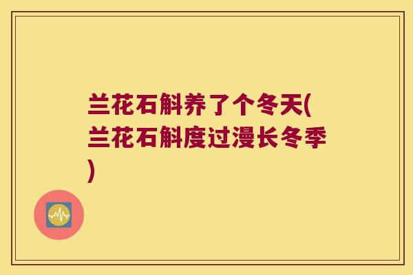 兰花石斛养了个冬天(兰花石斛度过漫长冬季)