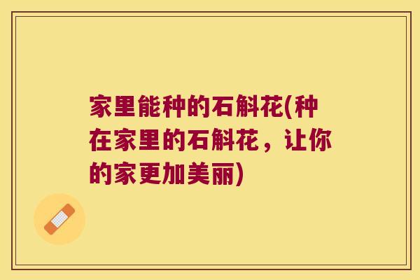 家里能种的石斛花(种在家里的石斛花，让你的家更加美丽)