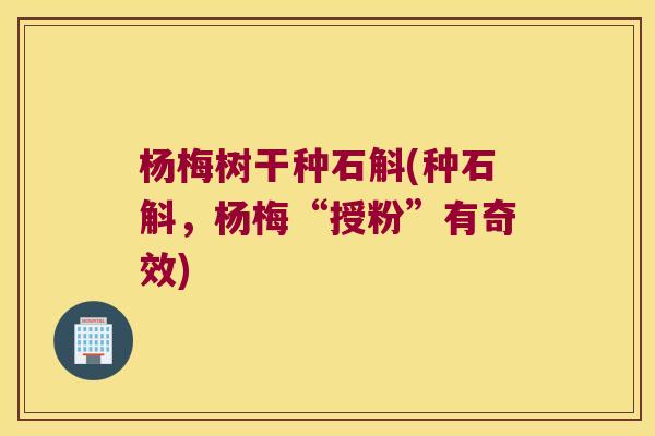 杨梅树干种石斛(种石斛，杨梅“授粉”有奇效)
