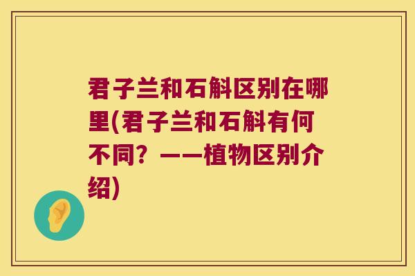 君子兰和石斛区别在哪里(君子兰和石斛有何不同?——植物区别介绍) 君子兰和石斛区别在哪里(君子兰和石斛有何不同?——植物区别介绍)
