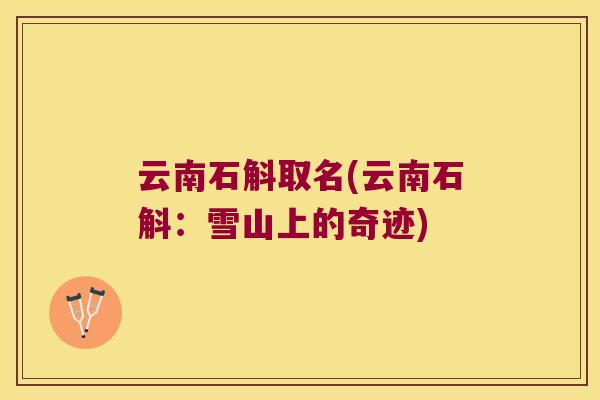 云南石斛取名(云南石斛：雪山上的奇迹)