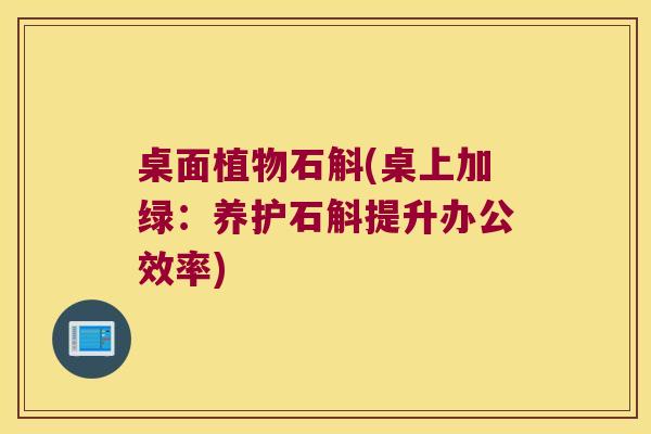 桌面植物石斛(桌上加绿：养护石斛提升办公效率)