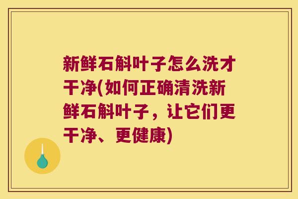 新鲜石斛叶子怎么洗才干净(如何正确清洗新鲜石斛叶子,让它们更干净、更健康) 新鲜石斛叶子怎么洗才干净(如何正确清洗新鲜石斛叶子,让它们更干净、更健康)