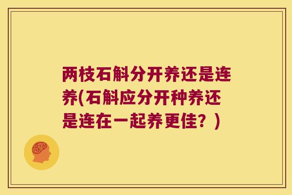 两枝石斛分开养还是连养(石斛应分开种养还是连在一起养更佳？)