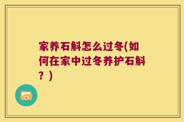家养石斛怎么过冬(如何在家中过冬养护石斛？)