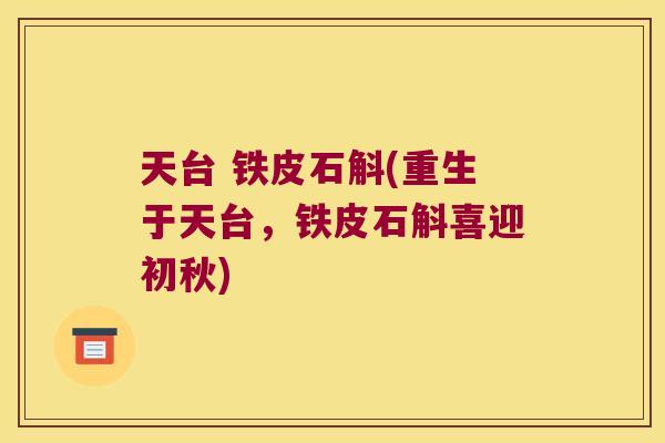 天台 铁皮石斛(重生于天台，铁皮石斛喜迎初秋)