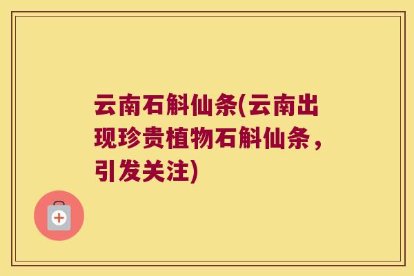 云南石斛仙条(云南出现珍贵植物石斛仙条，引发关注)