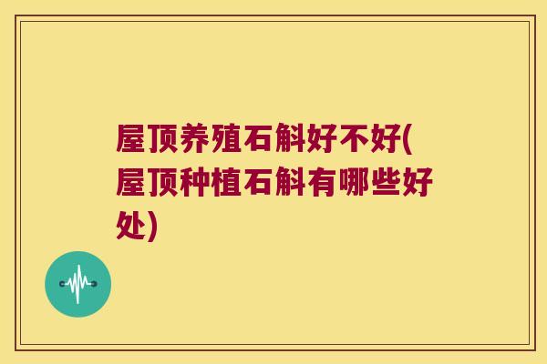 屋顶养殖石斛好不好(屋顶种植石斛有哪些好处)