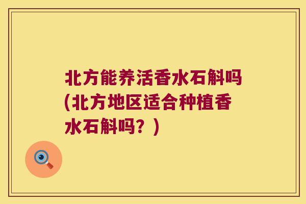 北方能养活香水石斛吗(北方地区适合种植香水石斛吗？)