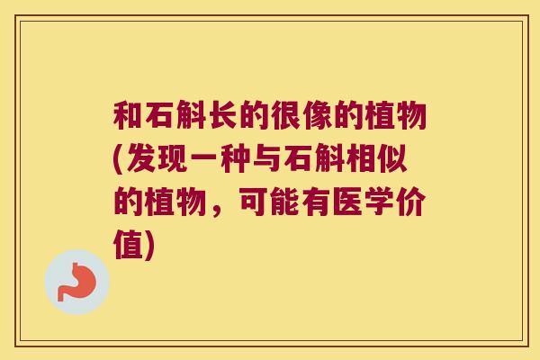 和石斛长的很像的植物(发现一种与石斛相似的植物，可能有医学价值)