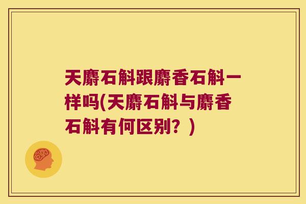 天麝石斛跟麝香石斛一样吗(天麝石斛与麝香石斛有何区别？)