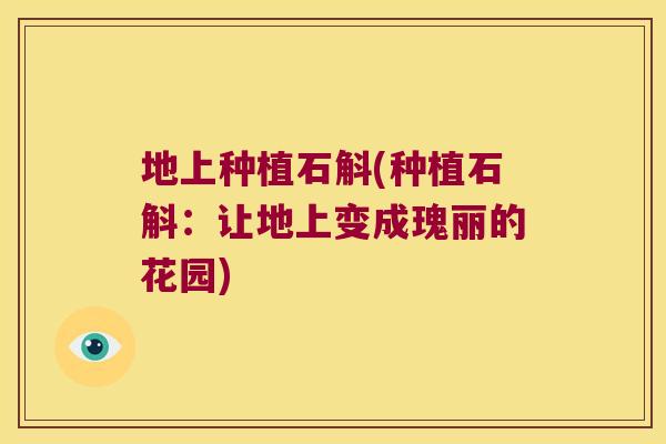 地上种植石斛(种植石斛：让地上变成瑰丽的花园)