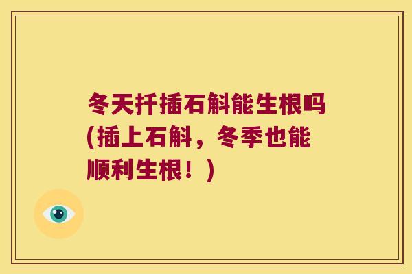 冬天扦插石斛能生根吗(插上石斛，冬季也能顺利生根！)