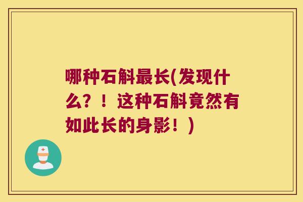哪种石斛最长(发现什么？！这种石斛竟然有如此长的身影！)