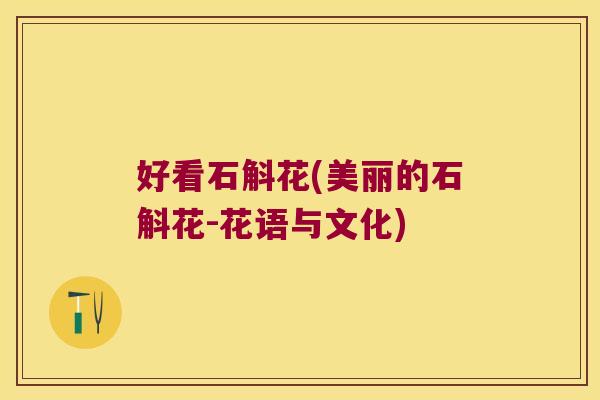 好看石斛花(美丽的石斛花-花语与文化)