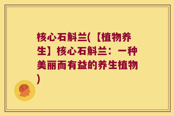 核心石斛兰(【植物养生】核心石斛兰：一种美丽而有益的养生植物)