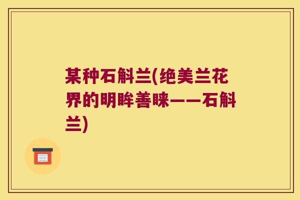 某种石斛兰(绝美兰花界的明眸善睐——石斛兰)