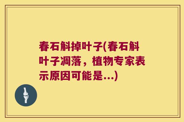 春石斛掉叶子(春石斛叶子凋落，植物专家表示原因可能是...)