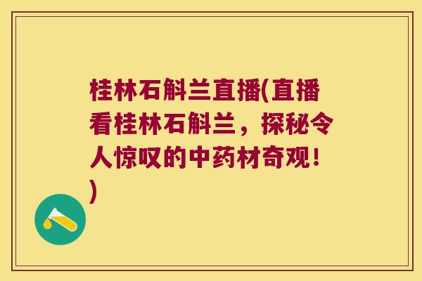 桂林石斛兰直播(直播看桂林石斛兰，探秘令人惊叹的中药材奇观！)