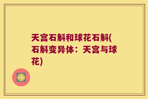 天宫石斛和球花石斛(石斛变异体：天宫与球花)