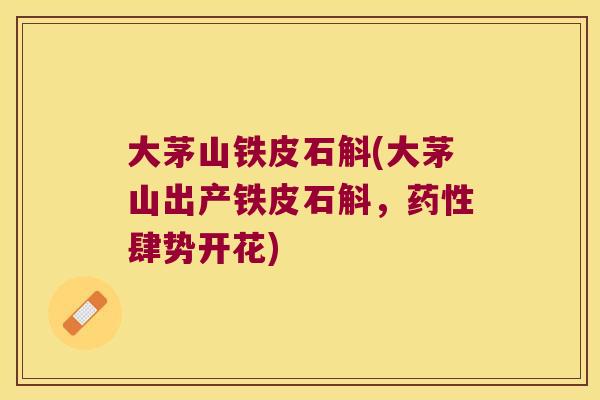 大茅山铁皮石斛(大茅山出产铁皮石斛,肆势开花) 大茅山铁皮石斛(大茅山出产铁皮石斛,肆势开花)
