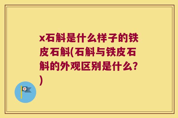 x石斛是什么样子的铁皮石斛(石斛与铁皮石斛的外观区别是什么？)