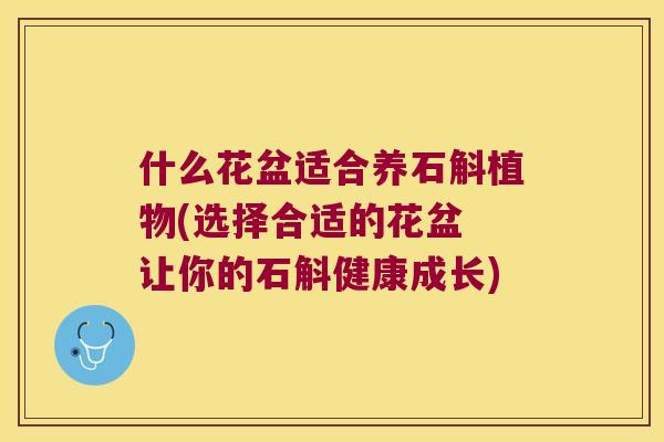 什么花盆适合养石斛植物(选择合适的花盆 让你的石斛健康成长)