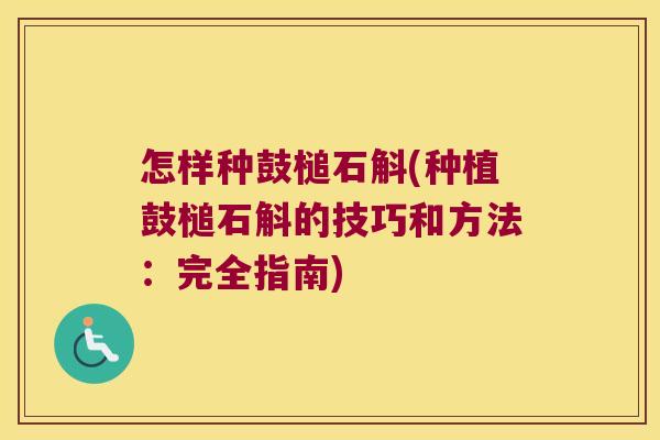 怎样种鼓槌石斛(种植鼓槌石斛的技巧和方法：完全指南)