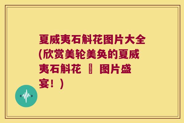 夏威夷石斛花图片大全(欣赏美轮美奂的夏威夷石斛花 – 图片盛宴！)