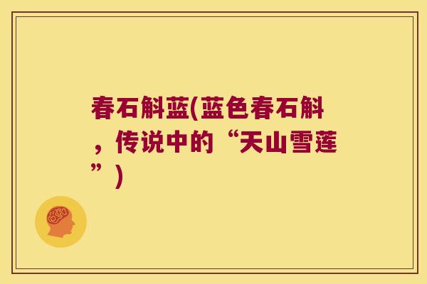 春石斛蓝(蓝色春石斛,传说中的“天山雪莲”) 春石斛蓝(蓝色春石斛,传说中的“天山雪莲”)