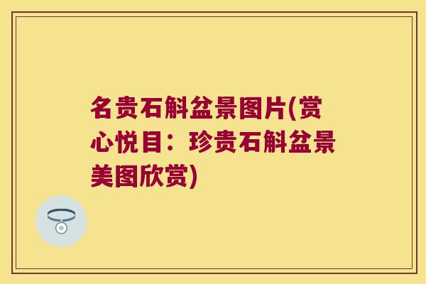 名贵石斛盆景图片(赏心悦目：珍贵石斛盆景美图欣赏)