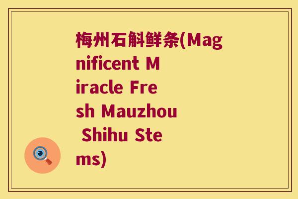 梅州石斛鲜条(Magnificent Miracle Fresh Mauzhou Shihu Stems)