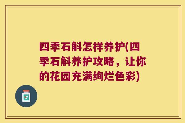 四季石斛怎样养护(四季石斛养护攻略，让你的花园充满绚烂色彩)
