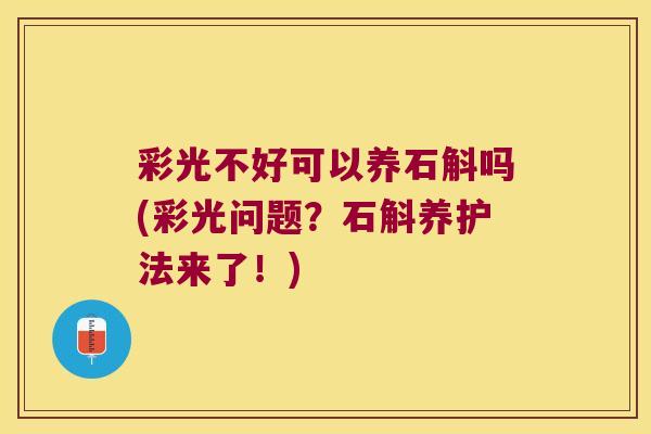 彩光不好可以养石斛吗(彩光问题？石斛养护法来了！)